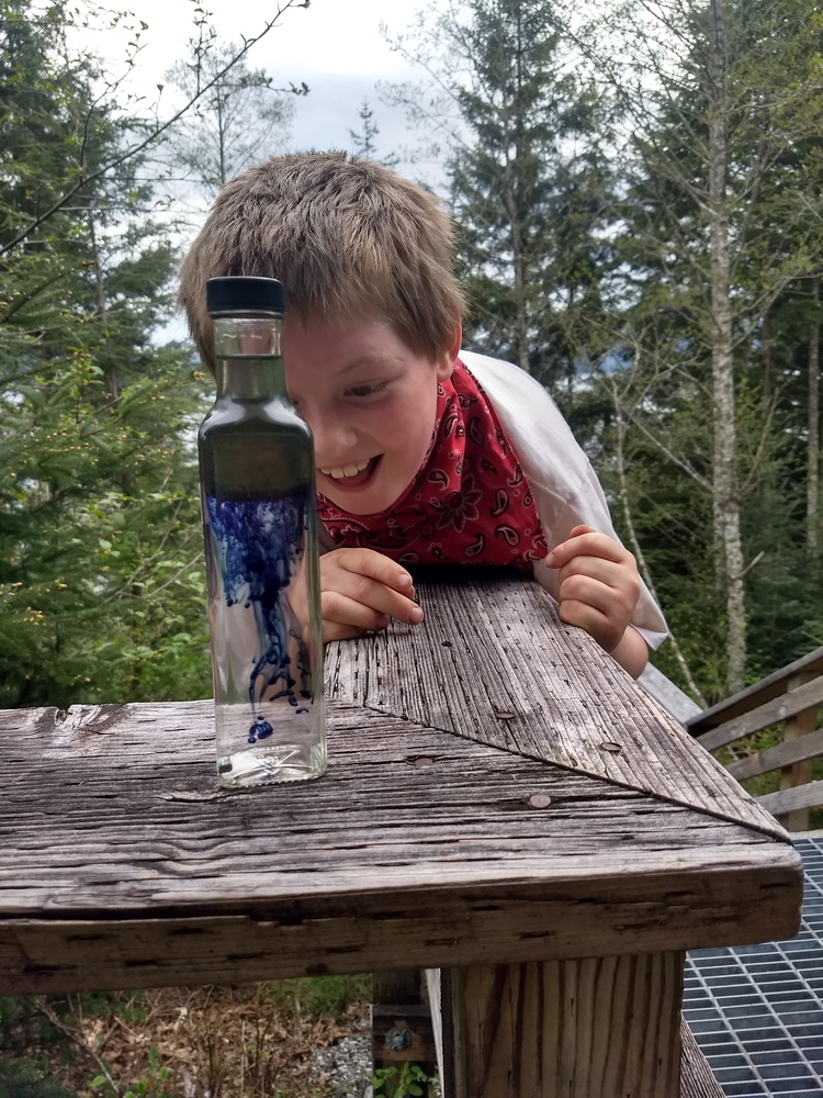 A boy leaning on a wooden railing, looking at a bottle with blue food coloring.