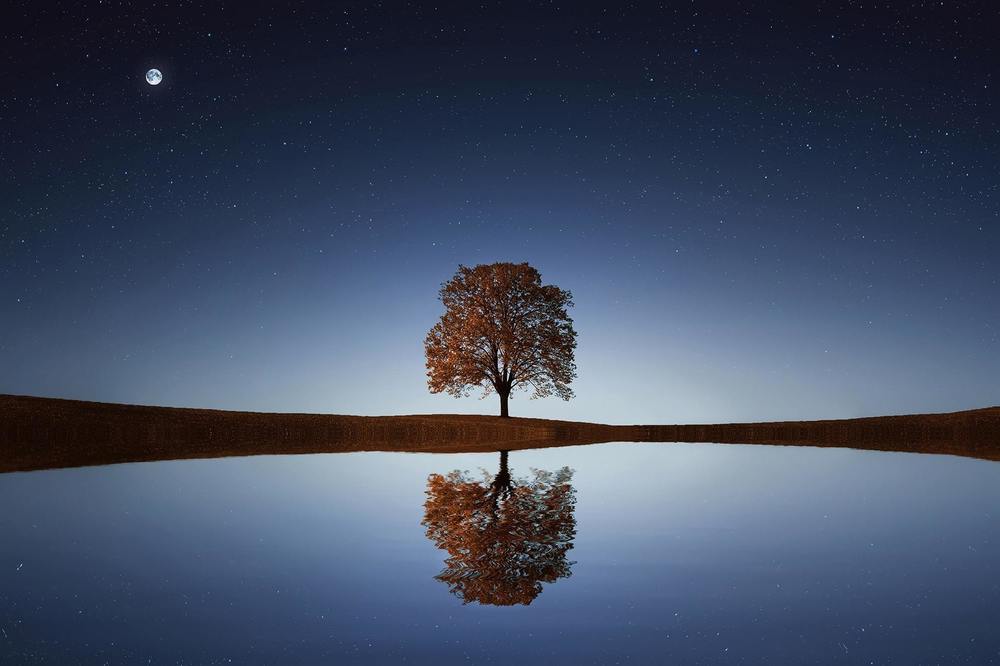 A tree at dusk with its reflection over the water and the moon in the sky