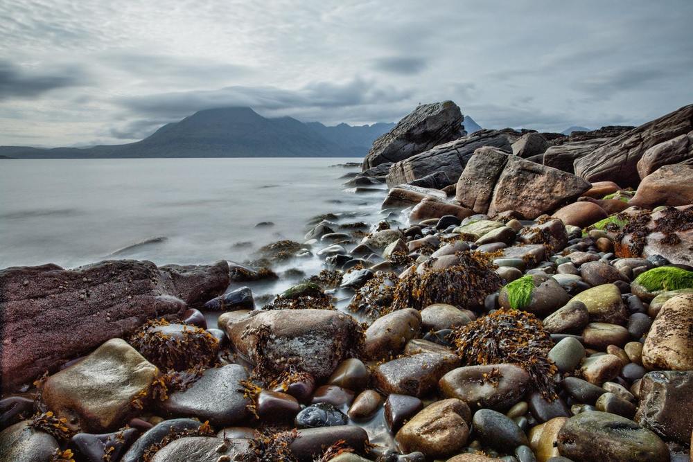 Shoreline with rocks and seaweed