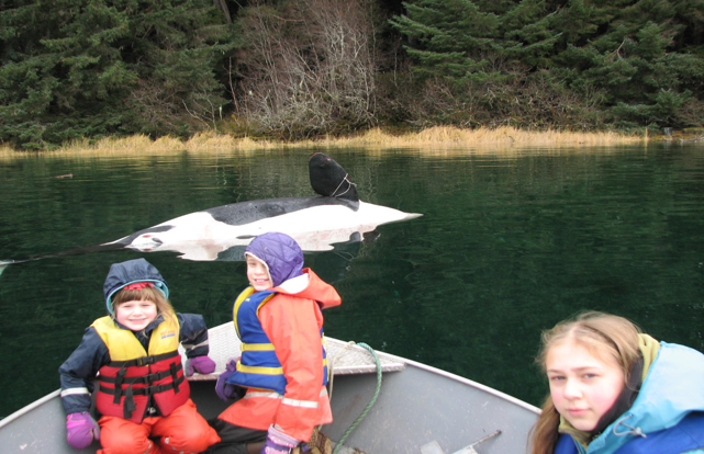 Three girls in a skiff looking at a floating, dead orca
