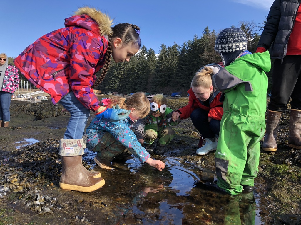a group of kids exploring a tidepool